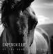 Capercaillie - At The Heart Of It All