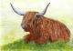Scots Word Card - Heilan' Coo