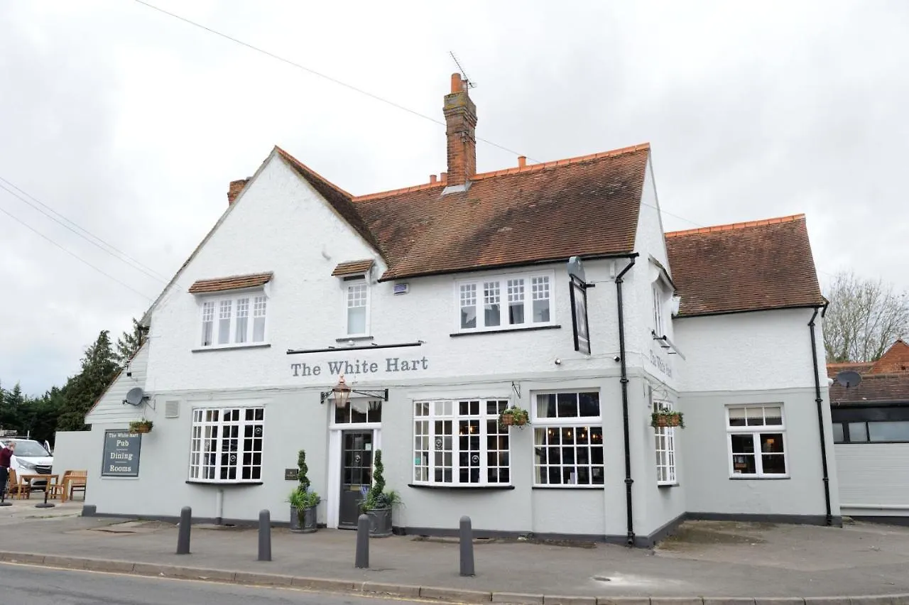 15 Greene King Pubs & Hotels in England Worth Booking